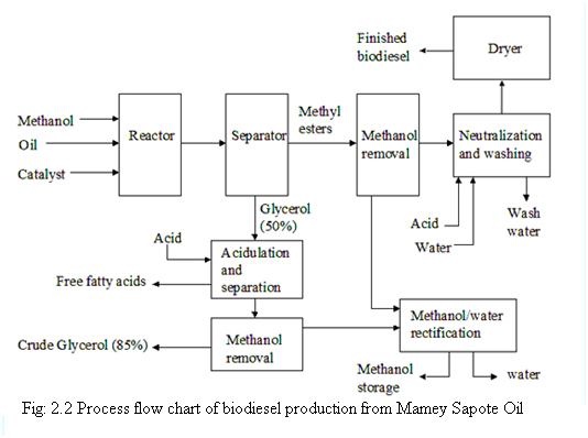 Production of Biodiesel